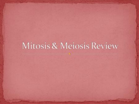 Mitosis & Meiosis Review