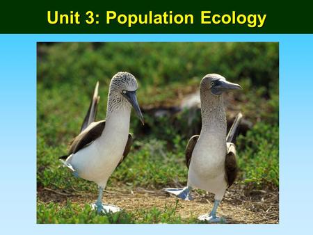 Unit 3: Population Ecology