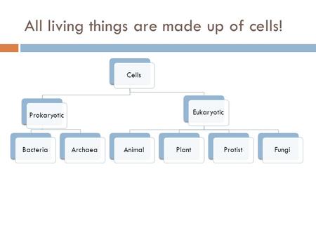 All living things are made up of cells!