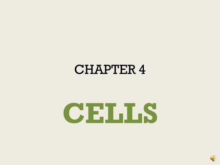 CHAPTER 4 CELLS.