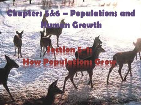 Chapters 5&6 – Populations and Human Growth