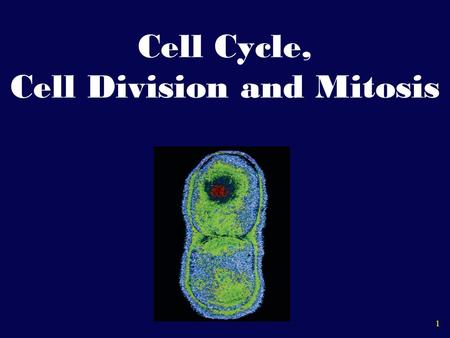 Cell Cycle, Cell Division and Mitosis