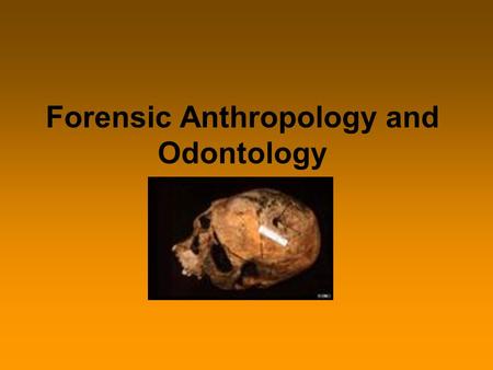 Forensic Anthropology and Odontology. Forensic Anthropology -study of human skeletal remains to determine sex, age, race, and time of death in an effort.