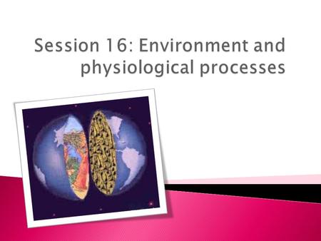 Session 16: Environment and physiological processes
