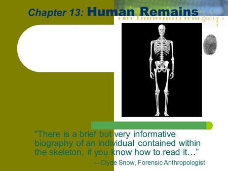 Chapter 13: Human Remains “There is a brief but very informative biography of an individual contained within the skeleton, if you know how to read it…”