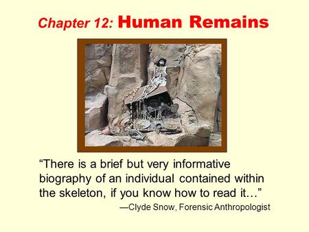 Chapter 12: Human Remains “There is a brief but very informative biography of an individual contained within the skeleton, if you know how to read it…”