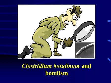 Clostridium botulinum and botulism. Introduction About 900's:  Certain foods caused typical poisoning.  Emperor Leo VI of Byzantium forbade the manufacture.