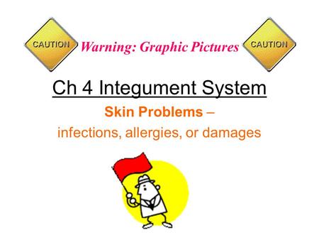Skin Problems – infections, allergies, or damages Ch 4 Integument System Warning: Graphic Pictures.