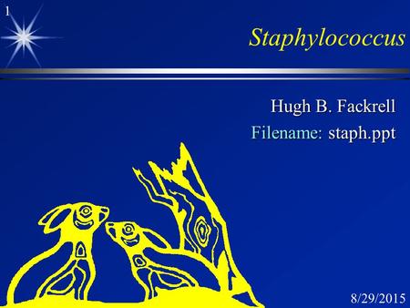 Hugh B. Fackrell Filename: staph.ppt
