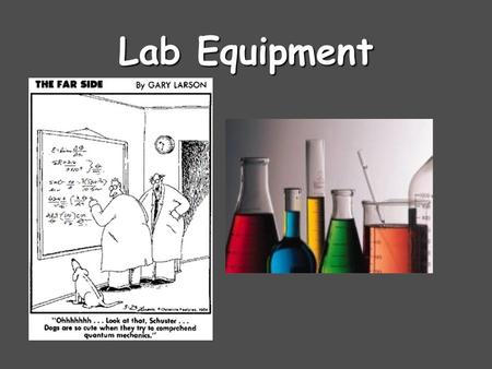 Lab Equipment. Beaker Beakers hold solids or liquids that will not release gases when reacted or are unlikely to splatter if stirred or heated.