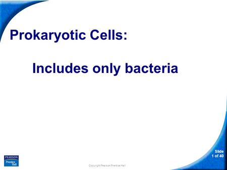 Slide 1 of 40 Prokaryotic Cells: Includes only bacteria Copyright Pearson Prentice Hall.