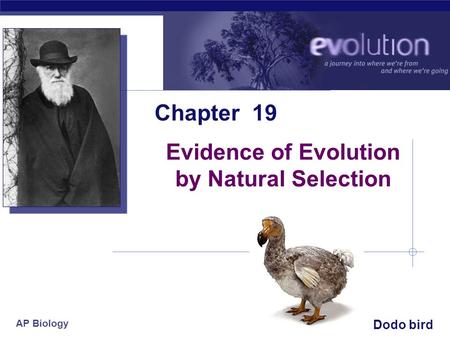 Evidence of Evolution by Natural Selection