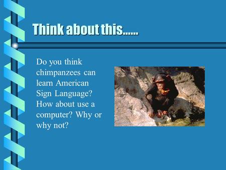 Think about this…… Do you think chimpanzees can learn American Sign Language? How about use a computer? Why or why not?