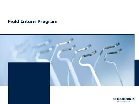 Field Intern Program. 2 Innovator and Leader in the Industry Fastest Growing CRM Company in US Excellence in Engineering Leadership in Product Quality.