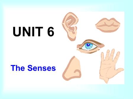 UNIT 6 The Senses.