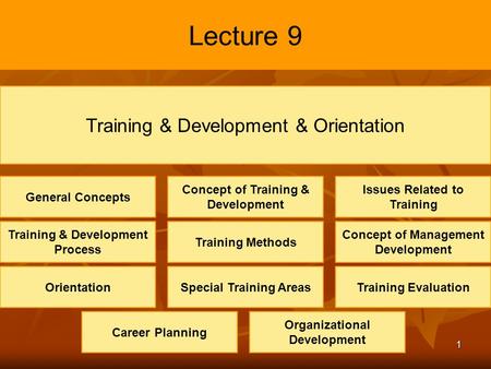1 Lecture 9 Training & Development & Orientation Concept of Training & Development Issues Related to Training Training & Development Process Training Methods.