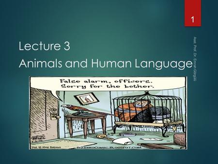 Lecture 3 Animals and Human Language