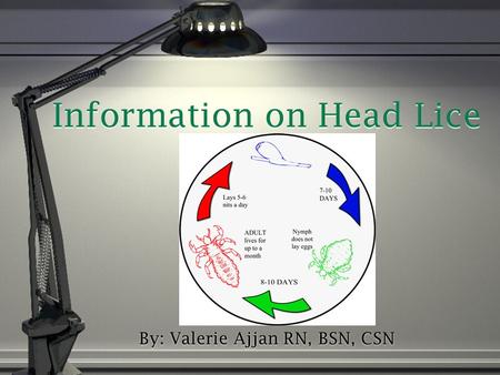 Information on Head Lice