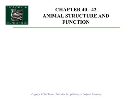 CHAPTER 40 - 42 ANIMAL STRUCTURE AND FUNCTION Copyright © 2002 Pearson Education, Inc., publishing as Benjamin Cummings.