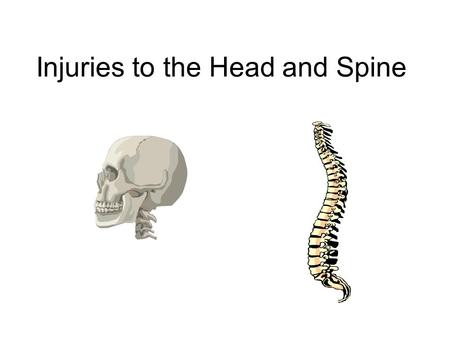 Injuries to the Head and Spine. The Head Head –Skull = cranium, face, and teeth –Inside the cranium is the brain and primary neural tissues.