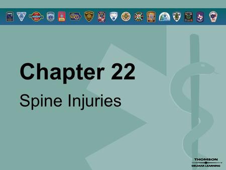 Chapter 22 Spine Injuries.