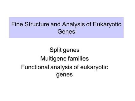 Fine Structure and Analysis of Eukaryotic Genes