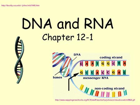 DNA and RNA Chapter 12-1 http://faculty.uca.edu/~johnc/mbi1440.htm http://www.wappingersschools.org/RCK/staff/teacherhp/johnson/visualvocab/mRNA.gif.