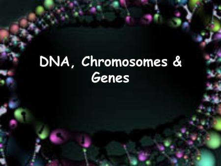 DNA, Chromosomes & Genes