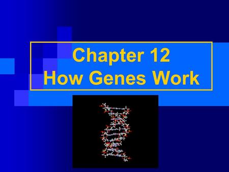 Chapter 12 How Genes Work.
