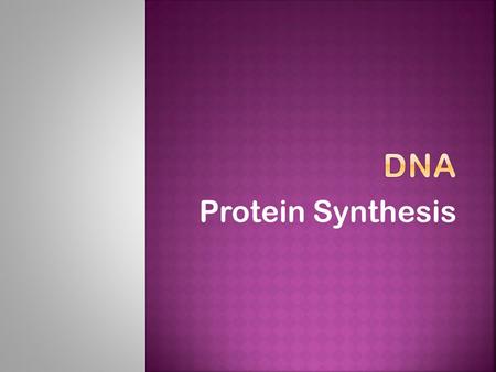 Protein Synthesis.  Identify the structure and function of DNA, RNA, and proteins.  Recognize diagrams of DNA and RNA, sugars, phosphate groups, nitrogenous.