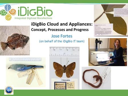 Advanced Computing and Information Systems laboratory iDigBio Cloud and Appliances: Concept, Processes and Progress Jose Fortes (on behalf of the iDigBio.