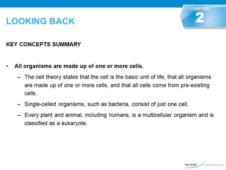 LOOKING BACK KEY CONCEPTS SUMMARY All organisms are made up of one or more cells. –The cell theory states that the cell is the basic unit of life, that.