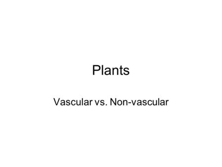 Vascular vs. Non-vascular