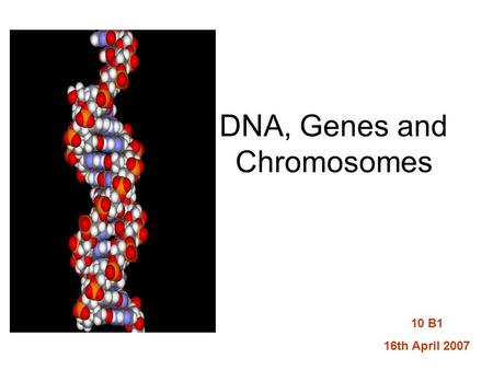 DNA, Genes and Chromosomes 10 B1 16th April 2007.