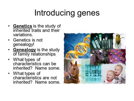 Introducing genes Genetics is the study of inherited traits and their variations. Genetics is not genealogy! Genealogy is the study of family relationships.