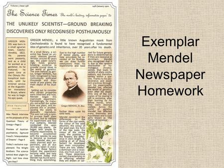 Exemplar Mendel Newspaper Homework. DNA structure, function and fingerprinting B2 5.4 Text p.192-3.