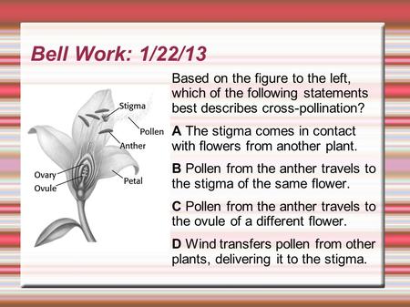 Bell Work: 1/22/13 Based on the figure to the left, which of the following statements best describes cross-pollination? A The stigma comes in contact with.