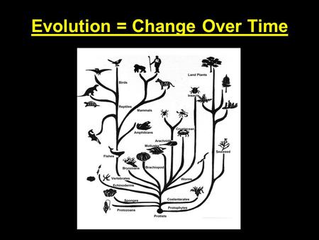 Evolution = Change Over Time
