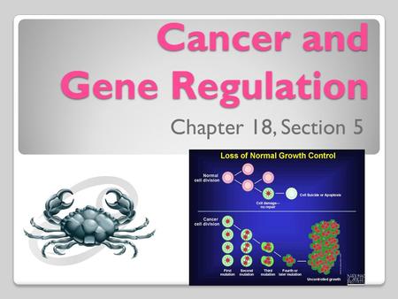Cancer and Gene Regulation Chapter 18, Section 5.
