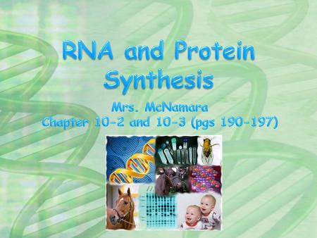 Click here to read the case study about protein synthesis.here.