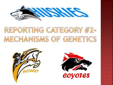 Reporting category #2- Mechanisms of genetics