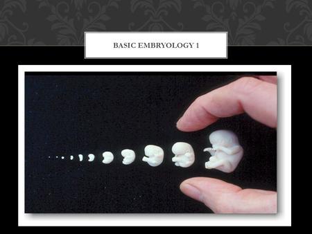 BASIC EMBRYOLOGY 1. It Literally means the study of embryos. It is the study of the origin and development of a single individual from the moment of its.