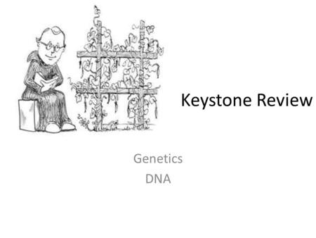 Keystone Review Genetics DNA.