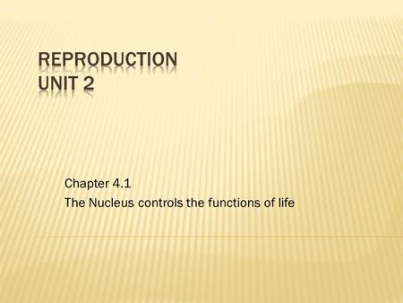 Chapter 4.1 The Nucleus controls the functions of life.