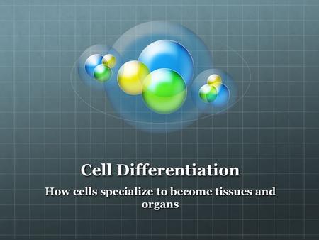 Cell Differentiation How cells specialize to become tissues and organs.