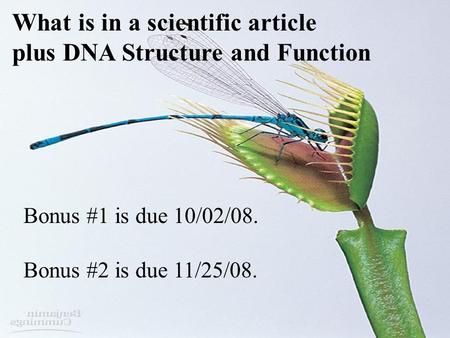 What is in a scientific article plus DNA Structure and Function Bonus #1 is due 10/02/08. Bonus #2 is due 11/25/08.