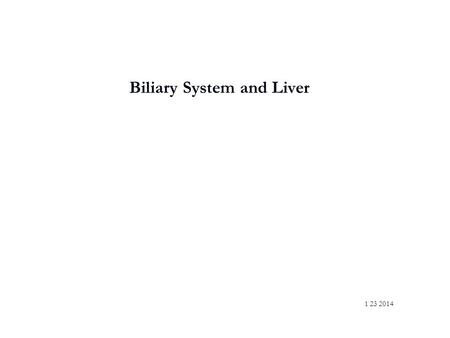 Biliary System and Liver 1 23 2014. Liver Largest gland of body 2nd largest organ What is the 1 st ? Skin How much does it weigh? Approx. 3 lbs.