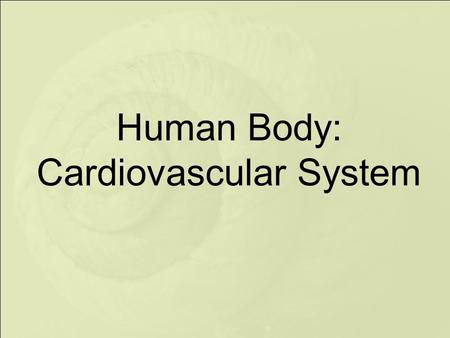 Human Body: Cardiovascular System. Closed vs. Open Circulatory System.