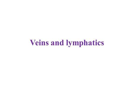 Veins and lymphatics.
