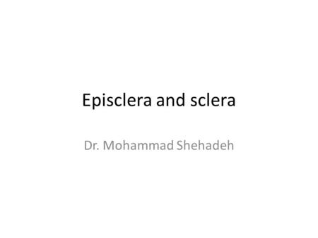 Episclera and sclera Dr. Mohammad Shehadeh. Anatomy The three vascular layers that cover the anterior sclera are: 1. The conjunctival vessels are the.